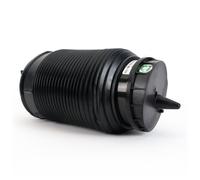 Arnott A-3315 Molla pneumatica, Autotelaio per AUDI,BENTLEY,LAMBORGHINI
