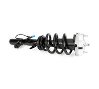 Ammortizzatore Assale anteriore Sx Spina superiore SK-3605 Arnott per BMW X5 X6