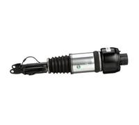 Arnott AS-2245 Ammortizzatore pneumatico