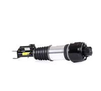 Arnott AS-2246 Ammortizzatore pneumatico