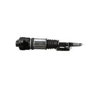 Arnott AS-2294 Ammortizzatore pneumatico
