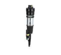 Arnott AS-2295 Ammortizzatore pneumatico
