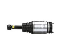 Arnott AS-2534 Ammortizzatore pneumatico per LAND ROVER Range Rover Sport (L320)