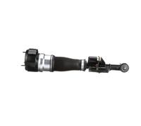 Arnott AS-2547 Ammortizzatore pneumatico