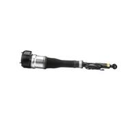 Arnott AS-2603 Ammortizzatore pneumatico