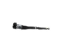 Arnott AS-2604 Ammortizzatore pneumatico