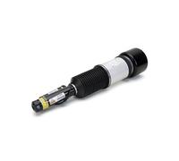 Puntone per sospensione pneumatica ARNOTT EUROPE AS-2605