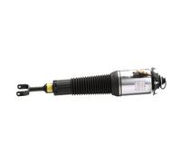 Arnott AS-2777 Ammortizzatore pneumatico
