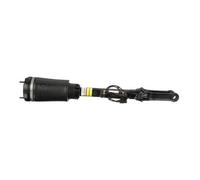Arnott AS-2802 Ammortizzatore pneumatico