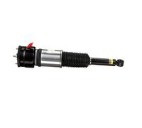 Arnott AS-2856 Ammortizzatore pneumatico