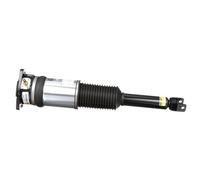 Arnott AS-2959 Ammortizzatore pneumatico