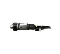 Arnott AS-3001 Ammortizzatore pneumatico Anteriore Sx