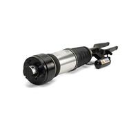 Puntone per sospensione pneumatica ARNOTT EUROPE AS-3001 sinistro