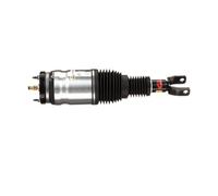 Arnott AS-3017 Ammortizzatore pneumatico