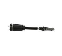 Arnott AS-3058 Ammortizzatore pneumatico