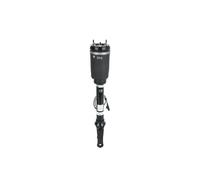 Arnott AS-3088 Ammortizzatore pneumatico
