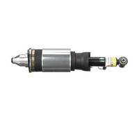 Arnott AS-3231 Ammortizzatore pneumatico