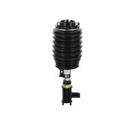 Arnott AS-3899 Ammortizzatore pneumatico