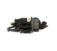 Arnott P-3021 Compressore sospensioni