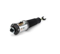 Arnott Puntone Aria Anteriore Sinistra per Audi A8 4E_4E2 4E8 Sopra Ponte