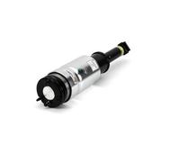 Arnott Puntone Aria Frontale per Land Rover Discovery IV L319 La III La _AS-2809