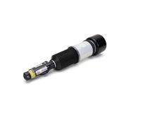 Arnott Puntone Aria Frontale per MERCEDES-BENZ CLASSE S W220 Sopra Ponte Basso