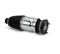 Arnott Puntone Aria Frontale per Tesla Modello S 5YJS Sopra Ponte Sotto Pennino