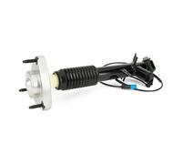 Ammortizzatore Assale posteriore Sx Spina superiore SK-3817 Arnott per BMW X5 X6