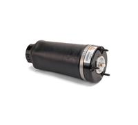 Arnott Sospensione Pneumatica Soffietti Aria Molla per Mercedes Classe R W251