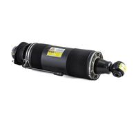 Arnott SK-2419 Ammortizzatore pneumatico