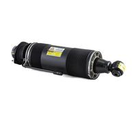 Arnott SK-2419 Ammortizzatore pneumatico