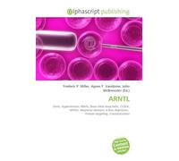 ARNTL: Gene, Hypertension, BMAL, Basic-helix-loop-helix, CLOCK, NPAS2, Response element, E-box, Repressor, Protein targeting, Transactivation