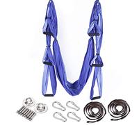 ARNTY Altalena per yoga aereo, 6 maniglie, amaca ultra resistente antigravità per migliorare le inversioni (viola)