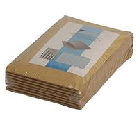 AROFOL P-19 - Buste imbottite, confezione da 10, 320 x 445 mm