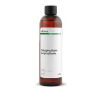 Aroma Labs - Tamanu BIO - Olio Vegetale Vergine e Certificato Cosmos - 250 mL