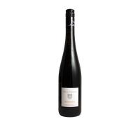AROMATTA Piwi Cuvée Tappo Vite 2021 - Villa Persani
