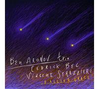 Aronov, Ben Trio - Falling Grace