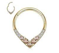 AROWRO 16 G Teardrop Septum Gioielli 316L acciaio chirurgico Setto Anelli Daith Orecchini Naso Setto Clicker Daith Rook Helix Lobe Cartilagine Piercing Gioielli CZ/Opal/Stella/Piramide Desi, Acciaio