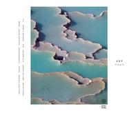 Arp Zebra (CD) Album
