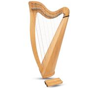 Arpa Claddagh Irlandese A 28 Corde, Arpa Celtica Irlandese Con Retro Rotondo