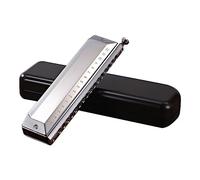 Arpa diatonica a 16 fori a 48 toni per chiave C blues organo a bocca arpa educazione precoce musica Trainin