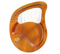 Arpa lira 24 corde in metallo, corpo in mogano con chiave di accordatura, regalo per principianti amanti della musica bambini adulti, con corda di ricambio, tutorial musicale