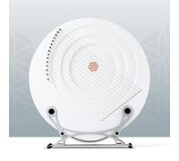 Arpa lira in acero a forma di luna a 15 corde, strumento musicale in legno for principianti e amanti della musica, strumento musicale a corde con chiave di accordatura, corde extra e tappetino antisci