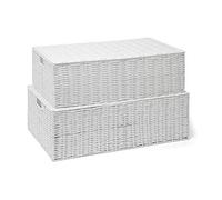 ARPAN - Scatole portaoggetti in Resina Intrecciata da Mettere sotto al Letto, cassapanca, Cesto con Coperchio per Giocattoli e Biancheria, Colore: Bianco (Set da 2 Pezzi, Grande e Media Misura)