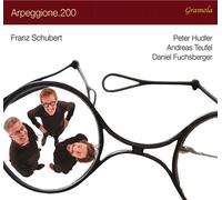 8976931 Audio Cd Daniel Fuchsberger / Peter Hudler / Andreas Teufel: Franz Schub