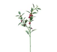 ARPIMEX Agrifoglio Natale Grande 80 Cm Rosso Verde
