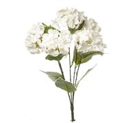 ARPIMEX Bush 6 Ortensie Innevate Natale 48 Cm Bianco