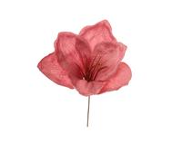 ARPIMEX Pick Amarillys D 16 Cm H 18 Cm Rosa