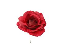 ARPIMEX Pick Rosa Rossa
