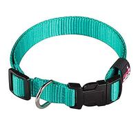 Arppe 2240014526 Collar Nylon Basic, Turquesa